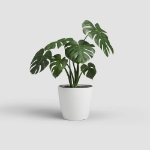 Image de POT SAN REMO MATE 36CM BLANC