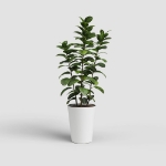 Image de POT PORTO HAUT 50CM BLANC