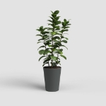 Image de POT PORTO HAUT 50CM ANTHRACITE