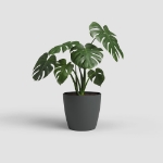 Image de POT SAN REMO MATE 42CM ANTHRACITE