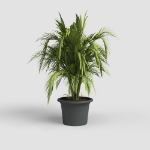 Image de POT VENEZIA CILINDRO 70CM ANTHRACITE