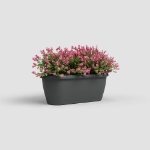 Image de JARDINIÈRE ALGARVE MUR 40CM ANTHRACITE