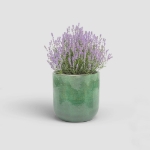 Image de CACHE-POT JUPITER 33 EM VERT EAU