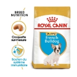 Image de BHN French Bulldog Puppy 1kg
