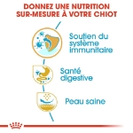 Image de BHN French Bulldog Puppy 1kg