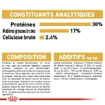 Image de BHN English Bulldog Puppy 3kg