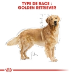 Image de BHN Golden Retriever Ad 3kg