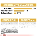 Image de BHN Golden Retr. Puppy 3kg