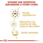 Image de BHN Chihuahua Adult 3kg