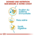 Image de BHN Pug Puppy 1,5kg