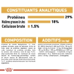 Image de BHN Pug Puppy 1,5kg