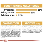 Image de BHN French Bulldog Puppy 3kg