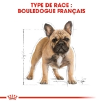 Image de BHN French Bulldog Adult 1,5kg
