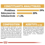 Image de BHN Yorkshire Ter. Puppy 1,5kg