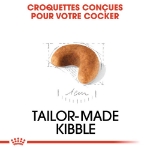 Image de BHN Cocker Puppy 3kg