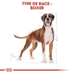 Image de BHN Boxer Adult 3kg