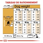 Image de BHN English Bulldog Ad 3kg