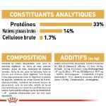 Image de BHN Labrador Puppy 3kg