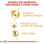 Image de BHN Mini Schnauzer Adult 3kg