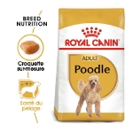 Image de BHN Poodle Adult 1,5kg