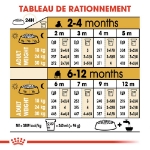 Image de BHN English Bulldog Puppy 12kg