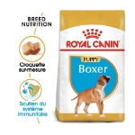 Image de BHN Boxer Puppy 12kg