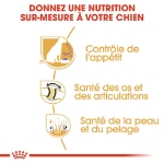 Image de BHN Labrador Sterilis. Ad 12kg