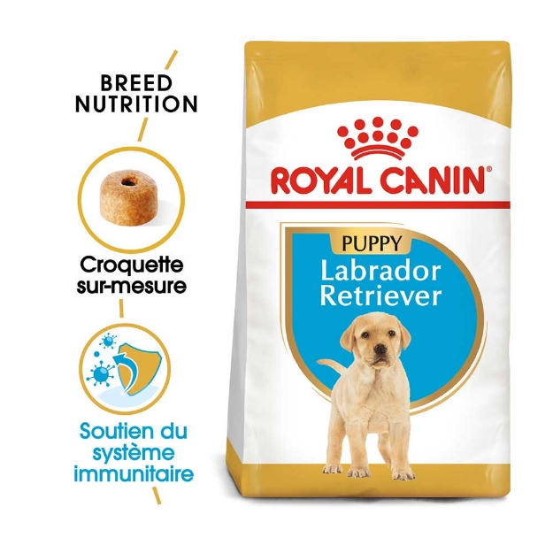 Image de BHN Labrador Puppy 12kg