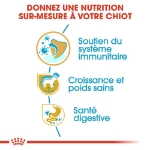 Image de BHN Labrador Puppy 12kg