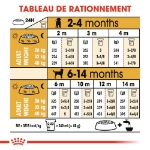 Image de BHN Labrador Puppy 12kg