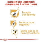 Image de BHN Great Dane Adult 12kg