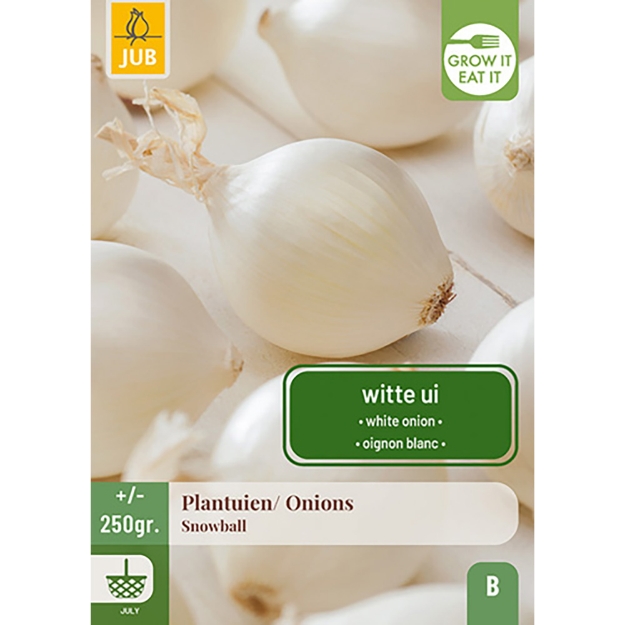 Image de 250 gr. OIGNONS SNOWBALL 14/21