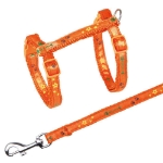 Image de Harnais chat avec laisse, bande motif arête