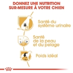 Image de BHN Bichon Frise Adult 1,5kg