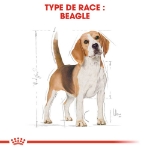Image de BHN Beagle Adult 3kg