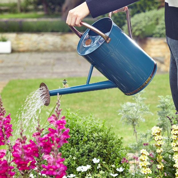 Image de Arrosoir métal   - Blue 9L