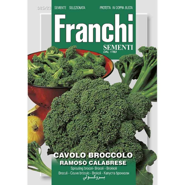 Image de Graines chou brocoli cavbroccolo ramoso calabrese - Franchi
