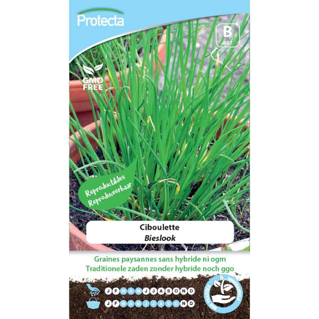 Image de Graines de ciboulette - Protecta