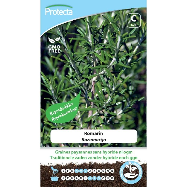 Image de Graines de romarin - Protecta