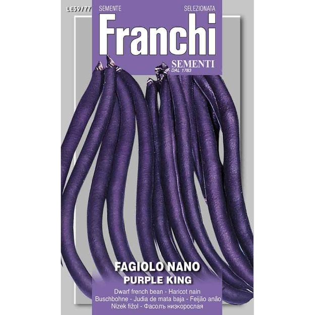 Image de Graines haricot nain purple king - Franchi