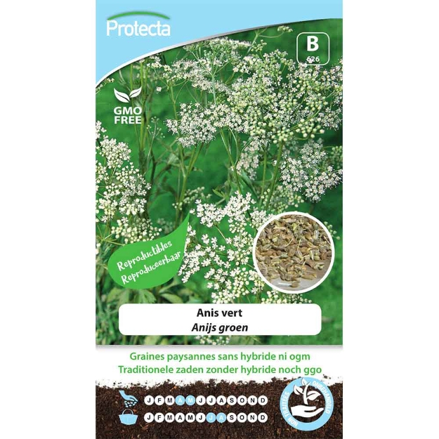 Image de Anis vert