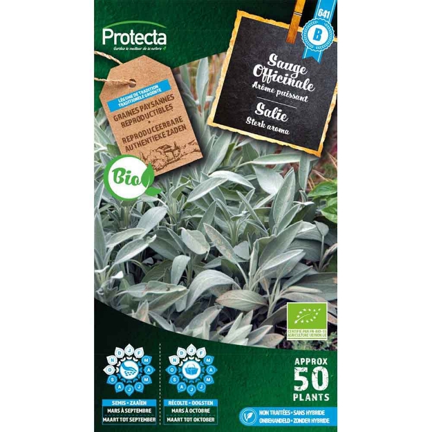 Image de Graines sauge officinale fr-bio-15