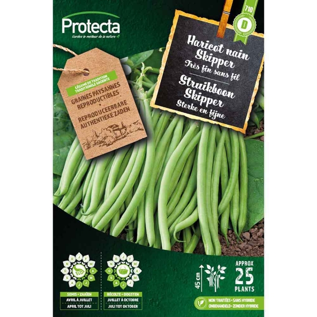 Image de Graines haricot nain skipper 35 g