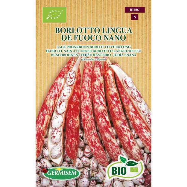 Image de Graines bio d' haricot nain à écosser borlotto langue de feu