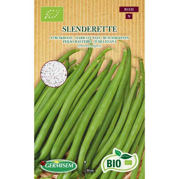 Image de Graines bio d' haricot nain slenderette
