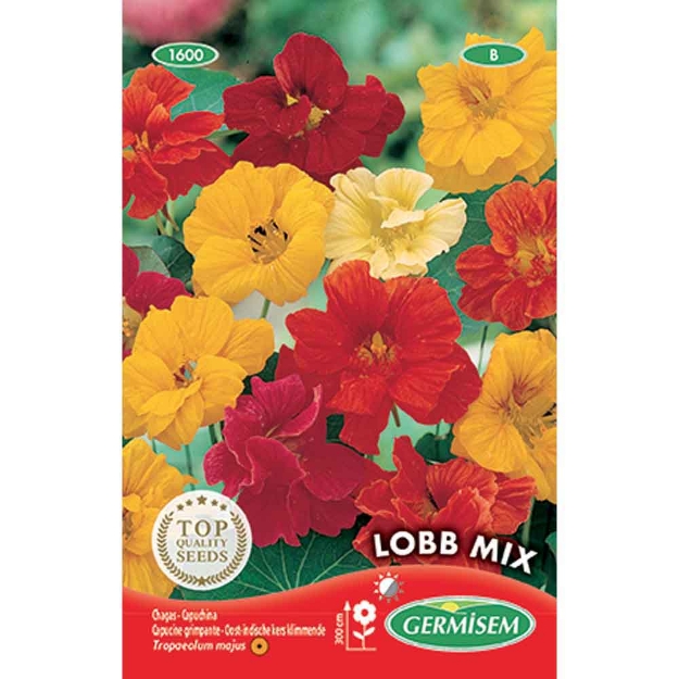 Image de Graines de tropaeolum (capucine) haut de lobb varié