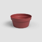 Image de COUPE CAPRI 25CM ROUGE FONCÉ