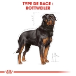 Image de BHN Rottweiler Adult 12kg