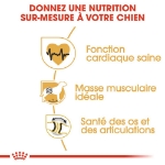 Image de BHN Rottweiler Adult 12kg