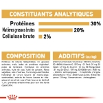 Image de BHN Chihuahua Puppy 1,5kg